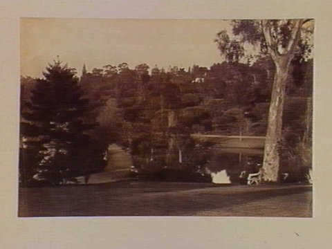 Overlooking the lake, Botanical Gardens, Melbourne, 1890