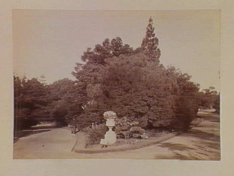 View along pathway, Botanical Gardens, Melbourne, 1890