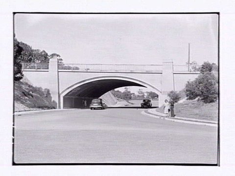 Yarra Boulevard, Kew, 1947