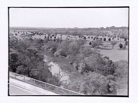 Yarra Boulevard, Kew, 1947