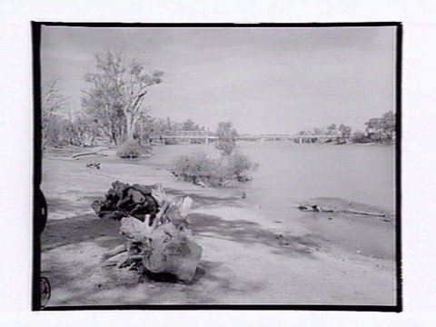 Abbotsford Bridge, Curlwaa, 1954