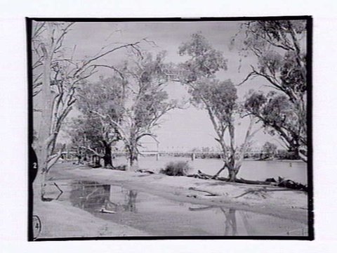 Abbotsford Bridge, Curlwaa, 1954