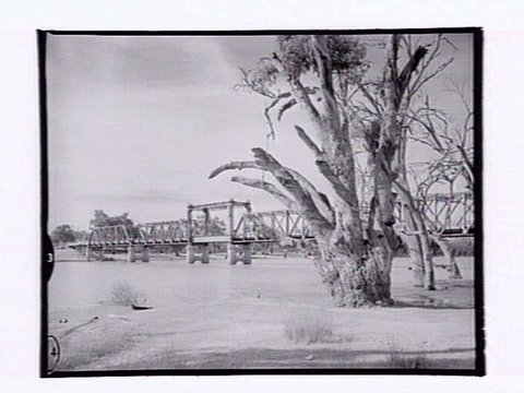 Abbotsford Bridge, Curlwaa, 1954