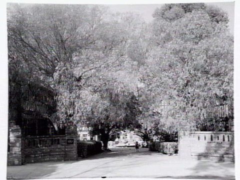 Mayfield' tudor style apartment building, 1/44 Murphy Street, South Yarra, 1949