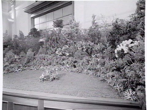 South Melbourne Town Hall interior, decorated with plants, c. 1952