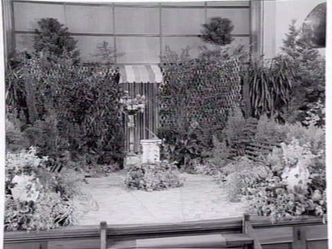 South Melbourne Town Hall interior, decorated with plants, 1949–55