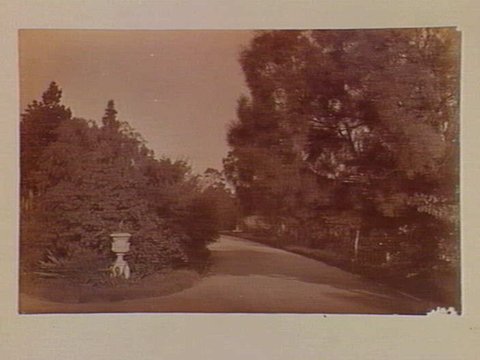 View along pathway, Botanical Gardens, Melbourne, c. 1890