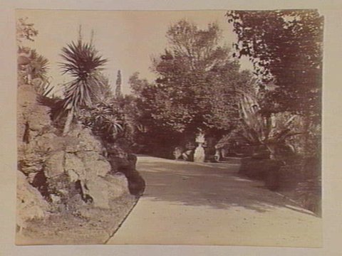View along pathway, Botanical Gardens, Melbourne, c. 1890