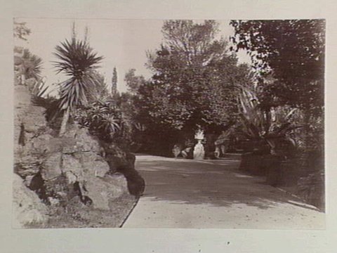 View along pathway, Botanical Gardens, Melbourne, 1890