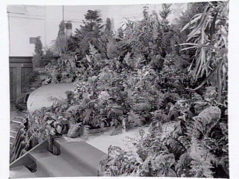 South Melbourne Town Hall, stage area decorated with plants and bark roofed hut, 1950?