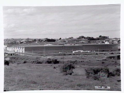 Construction photographs of a factory in Murrumbeena, 1954–55