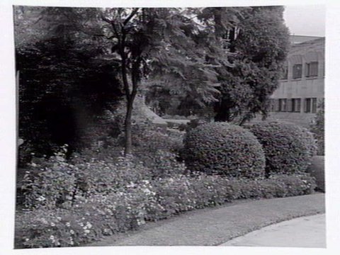 Gardens around Newman Chapel, Melbourne University, c. 1945