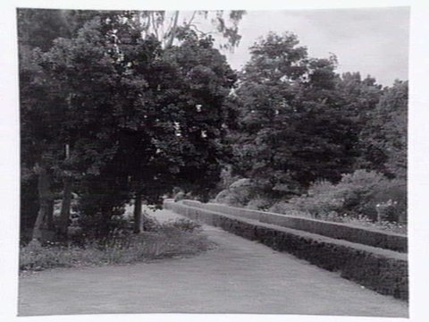 Gardens around Newman Chapel, Melbourne University, c. 1945