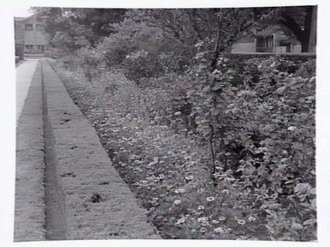Gardens around Newman Chapel, Melbourne University, 1945?
