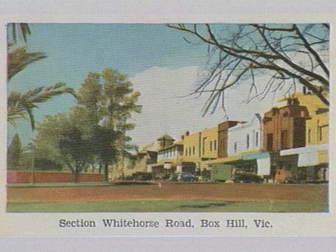 Camera Views BOX HILL, VIC, c. 1950