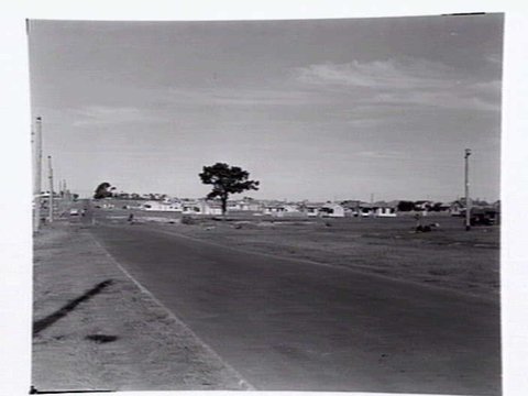 Castlefield Housing Estate in Hampton and East Brighton, designed by Housing Commission of Victoria, 1946