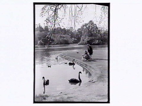 Botanic Gardens Melbourne, 1946