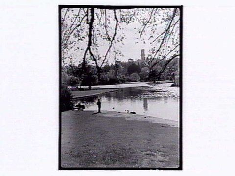 Botanic Gardens Melbourne, 1946