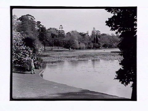 Botanic Gardens Melbourne, 1946