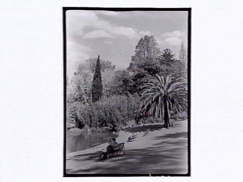 Botanic Gardens Melbourne, 1946
