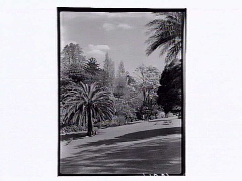 Botanic Gardens Melbourne, 1946