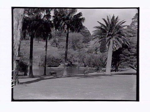 Botanic Gardens Melbourne, 1946