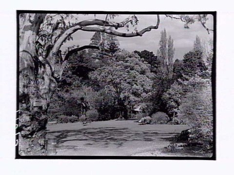 Botanic Gardens Melbourne, 1946