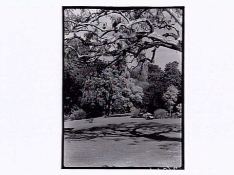 Botanic Gardens Melbourne, 1946