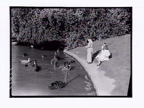 Botanic Gardens Melbourne, 1946