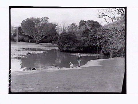 Botanic Gardens Melbourne, 1946