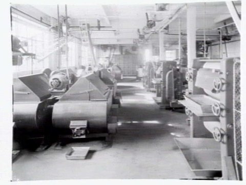 Interior, Rowntree Confectioners, 74 De Carle St., Brunswick, c. 1951