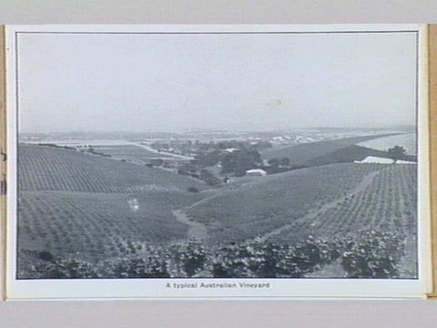 Melbourne Folding Souvenir Card, c. 1912