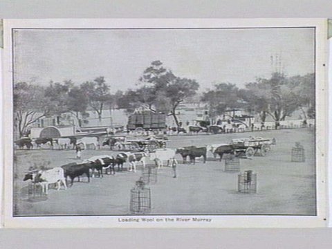 Melbourne 17 City and Country Scenes Folding Souvenir Card, 1920