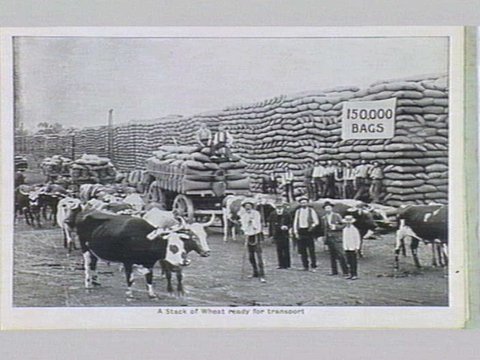 Melbourne 17 City and Country Scenes Folding Souvenir Card, c. 1920