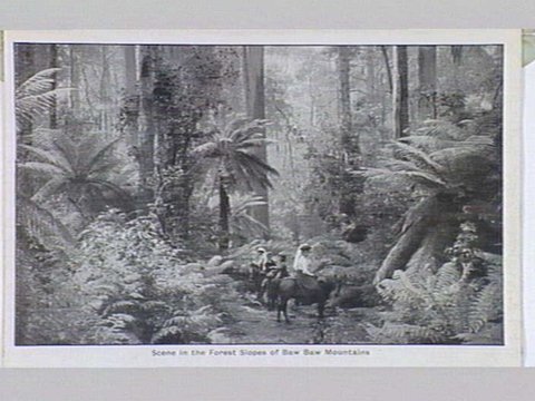 Melbourne 17 City and Country Scenes Folding Souvenir Card, 1920