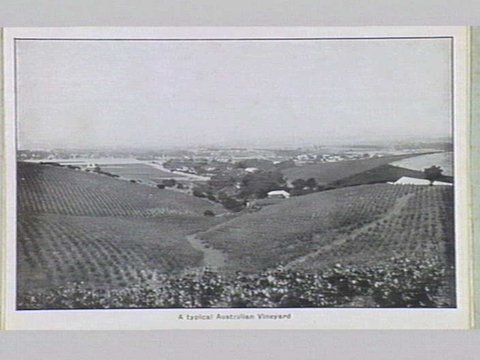 Melbourne 17 City and Country Scenes Folding Souvenir Card, c. 1920