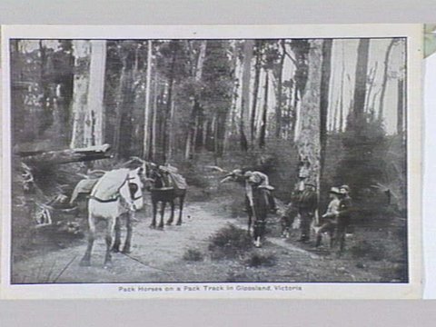 Melbourne 17 City and Country Scenes Folding Souvenir Card, c. 1920