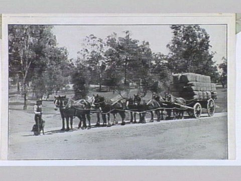 Melbourne 17 City and Country Scenes Folding Souvenir Card, c. 1920