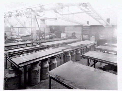 Interiors and exteriors at Rowntree and Co. (Aust.) Pty. Ltd., confectioners, Brunswick, 1951?