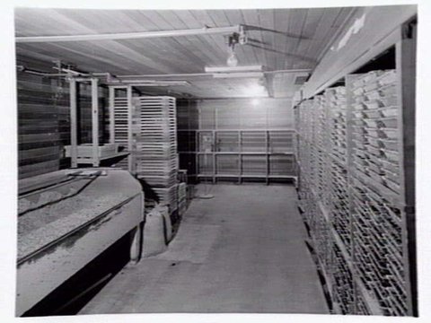 Interiors and exteriors at Rowntree and Co. (Aust.) Pty. Ltd., confectioners, Brunswick, 1951?