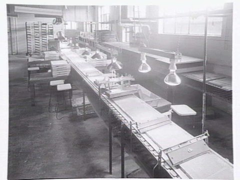 Interiors and exteriors at Rowntree and Co. (Aust.) Pty. Ltd., confectioners, Brunswick, c. 1951