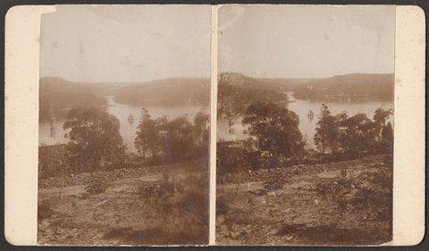 View from Braybrook, 1875