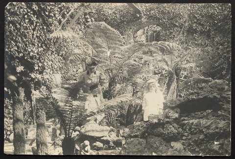 The fernery, Pine Grove, Richmond, 1900