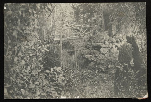 The fernery, Pine Grove, Richmond, 1900