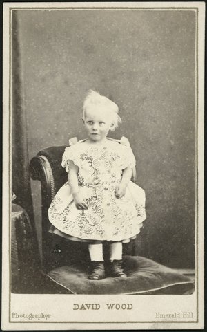 Portrait photographs by David Wood of Melbourne and Emerald Hill, Vic, 1866–1907