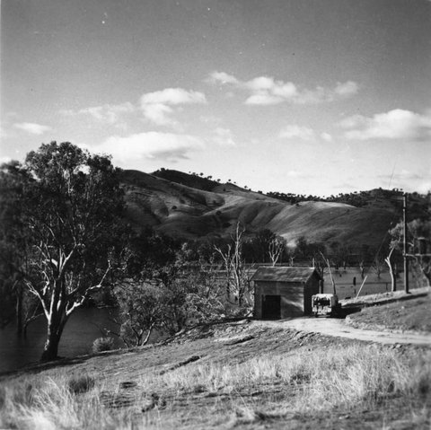 Bolga site of new Tallangatta township and trees near Reservoir, 1953–54
