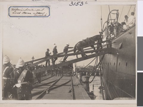 S.S. Medic in Melbourne, 1899