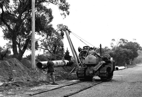 Caterpillar PD4 pipe layer in use in the construction of a new water main at Frankston, 1956