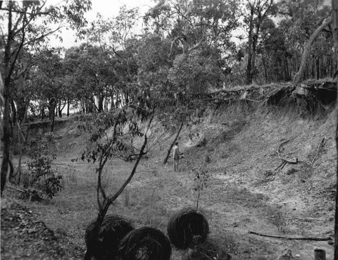 Frankston Office, Proposed Damsite At Devil Bend Creek, 1956
