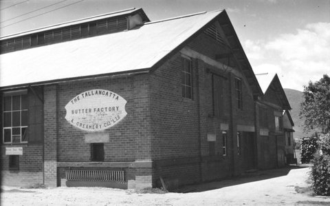 "Tallangatta Butter Factory and Creamery, Toorak, Old Tallangatta, and nearby residences", 1954